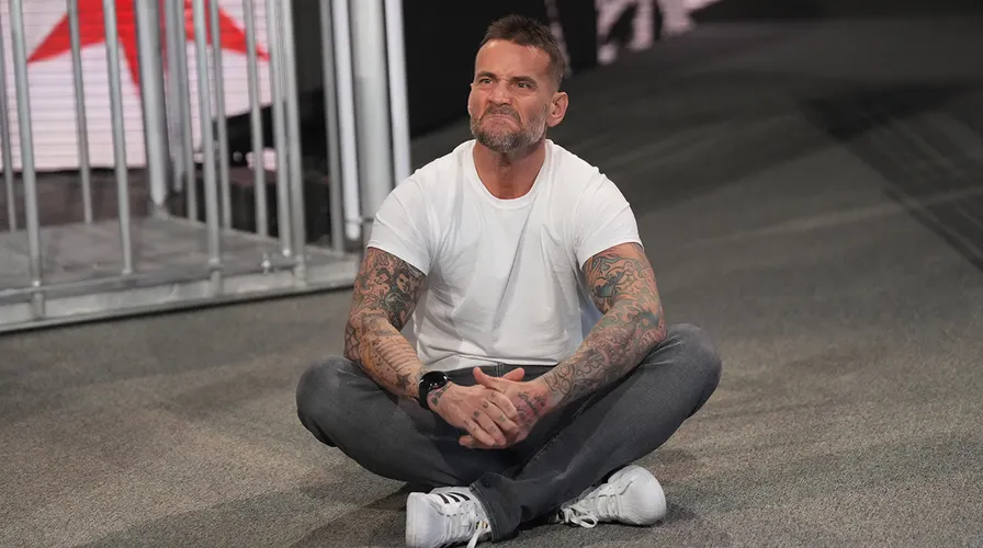 CM Punk